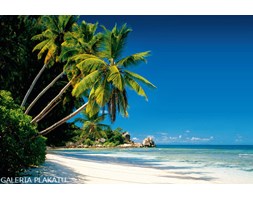 Rajska Plaża - new morning - plakat