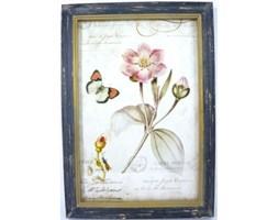 Obraz Vintage Botanical 3