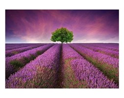Dywan winylowy Lavender Field, 52x75 cm