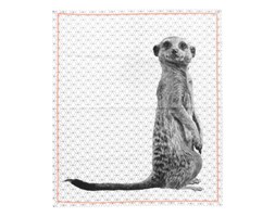Ścierka Present Time Raster Meerkat