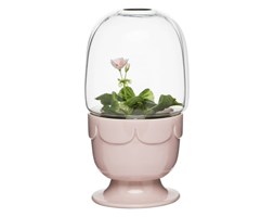 Jasnoróżowa porcelanowa doniczka z kloszem Greenhouse