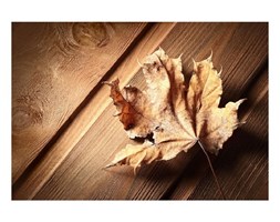 Dywan winylowy Leaf, 52x75 cm