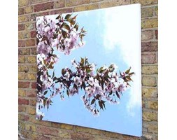 Białe Kwiaty Canvas
