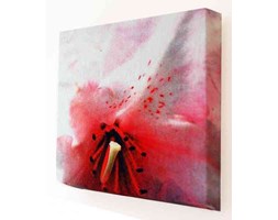 Kwiat Czerwony Mini Canvas