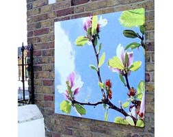 Biało-Różowe Kwiaty Canvas