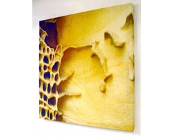 Skull Rock Canvas