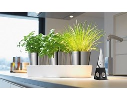 Auerhahn - doniczki na zioła z systemem nawadniającym Herbs + nożyczki gratis