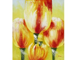 OR9 Tulipany