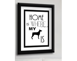 OC20 ..where my dog is