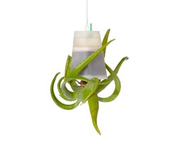 Boskke Sky Planter doniczka wisząca Recycled Medium Transparentna