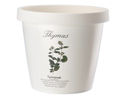 Doniczka do ziół 13 cm Tymianek