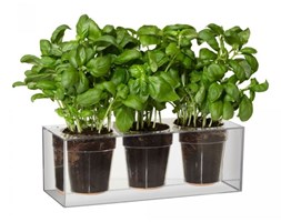 Boskke Cube Triple transparentna doniczka samopodlewająca