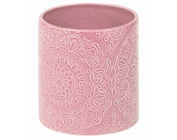 OSŁONKA GRACILIS PINK
