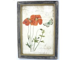 Obraz Vintage Botanical 6
