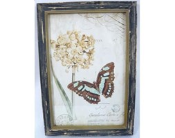 Obraz Vintage Botanical 5