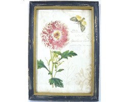 Obraz Vintage Botanical 4