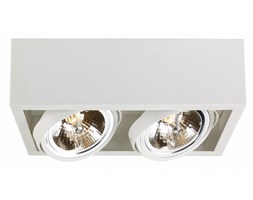 CUBE oprawa stropowa natynkowa 2 x 50W QR111 (biała) KASPA 70352201
