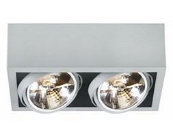 CUBE oprawa stropowa natynkowa 2 x 50W QR111 (szara) KASPA 70355208