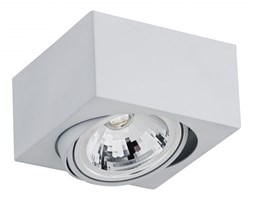 RODOS LED oprawa sufitowa natynkowa 1 x 7W LED ARGON 3069