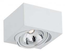 RODOS LED oprawa sufitowa natynkowa 1 x 7W LED ARGON 3070