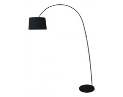 Costanza lampa