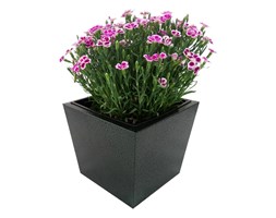 Donica, doniczka "Dalia" DON0005S