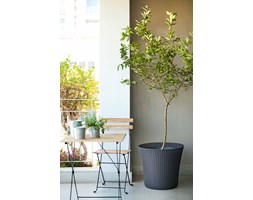 KETER Doniczka KETER Conic Planter 56,5 l Antracyt 231356