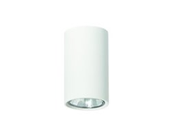 Lampa sufitowa Simba biały