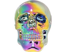 Figurka dekoracyjna Skull Rainbow