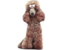 Poduszka dekoracyjna Dogs Out I