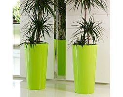 TUIT 33/61 cm z wkładem - zieleń wiosenna połysk / acid green