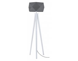 Lampa podłogowa Spotlight Finja 6744402