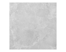 Gres Szkliwiony Polerowany Lexington Ceramstic 60 X 60 Cm Dark 1 44