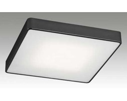 Plafon Argon Ontario 654 kwadratowy lampa oprawa sufitowa 2x60W E27 25x25 cm czarny >>> RABATUJEMY do 20% KAŻDE zamówienie !!! - wysyłka w 24h