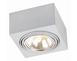 RODOS oprawa stropowa 1 x 48W G9 ARGON 347