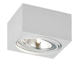 RODOS oprawa stropowa 1 x 48W G9 ARGON 263