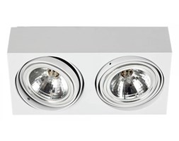 RODOS oprawa stropowa 2 x 48W G9 ARGON 581