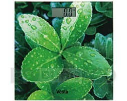 Waga Vesta EBS03