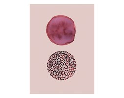 Plakat Rose