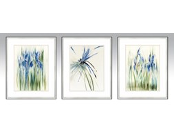 Obraz Herbarium 42x538 Cm Wzór Nr 3 Obrazy Zdjęcia Pomysły