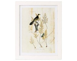 Obraz Bird 35x45 cm
