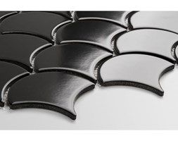 Flabellum black, mat