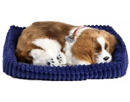 Perfect Petzzz Spaniel Cavalier King Charles 96309