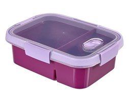 Pojemnik na lunch Smart To Go (0,6 0,3 L) Curver