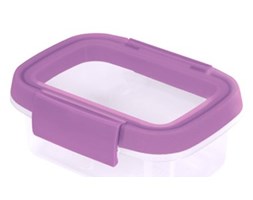 Pojemnik Smart Fresh 0,2L Curver