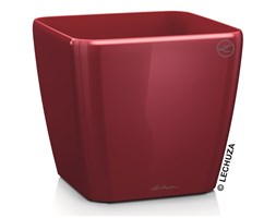 QUADRO LS 21/21/20 czerwony scarlet połysk