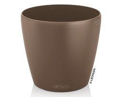 CLASSICO Color 21/20 muszkatołowy brąz