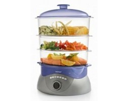 Parowar Zelmer ZSC1100V