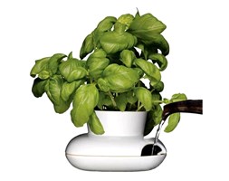 Mały wazon na zioła Sagaform Herbs Spices Hold kod: SF-5007162