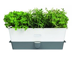 Donica nawadniająca do ziół 37cm Cole Mason biało-szara kod: WL H105349